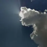 テンイスの画像