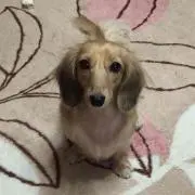 みかの画像