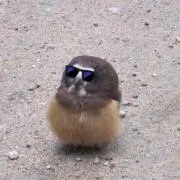 6@