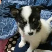 そら☺育児中