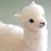 きよらの画像
