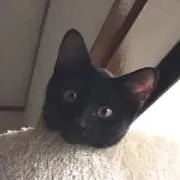 いっちーの画像