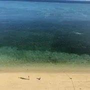 くーみん