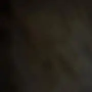 河上