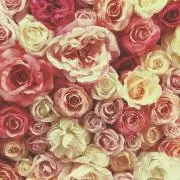 ♡COCO♡の画像