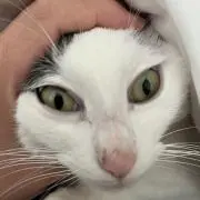 商品説明見てね
