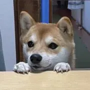 ながやんの画像