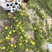 yunの画像