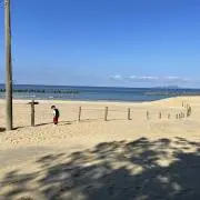 ちゃんのむの画像