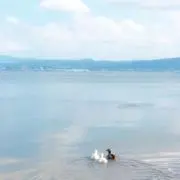 ruskの画像
