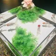 しゃの画像