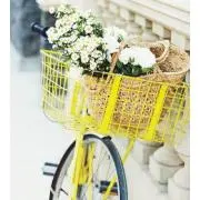 ym-tt♡の画像