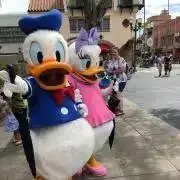 メロディ発送遅れますプロフ確認お願いしまの画像