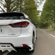 SS