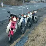 てらよん