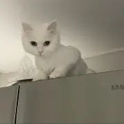 かやぬま