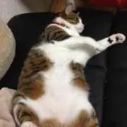 miichiba