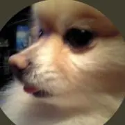 わくわく