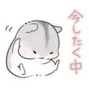 ささきの画像