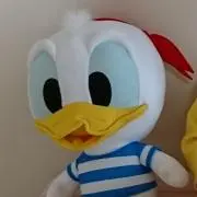 はーこ
