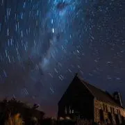 yuyの画像