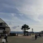 とかげの画像