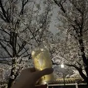 けんの画像