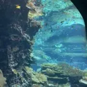 Kaoriの画像
