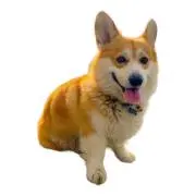 Law対応遅れますm(_ _)mの画像