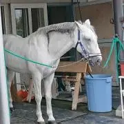 クリュウ