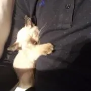 とう