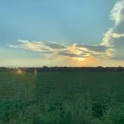 Outtttuの画像