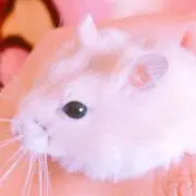 まーぴん