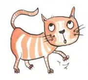 Aiminの画像