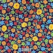 ambreの画像