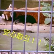 なかすけ☆