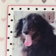 ルイちゃんの画像