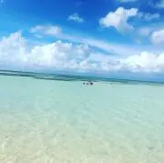 umiの画像