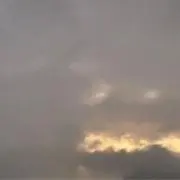 kamomeの画像