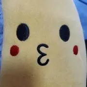 ちょんの画像