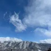 めんまの画像