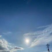 Sの画像