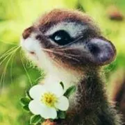 タマ
