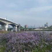 風