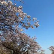YUMIKO