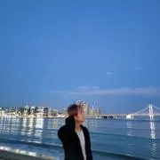 いわしの画像