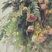 wiiiの画像