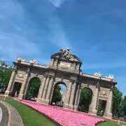 Venga vamos!!の画像
