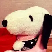 Nuu☆ちゃんの画像