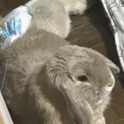 ゆう❀